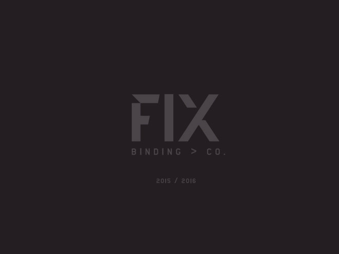 fix bindings 2016